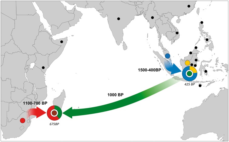 Fig. 2