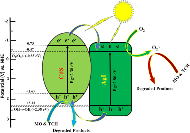 Figure 12