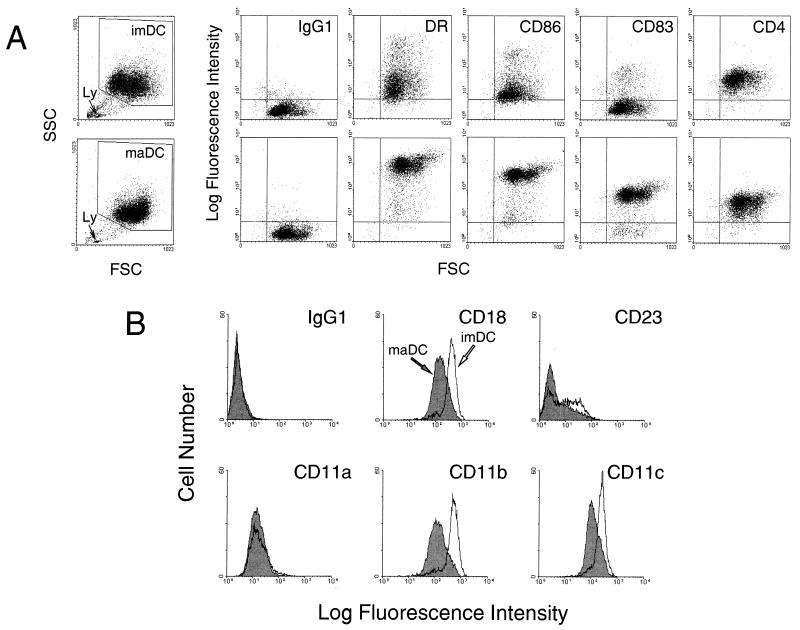 FIG. 1