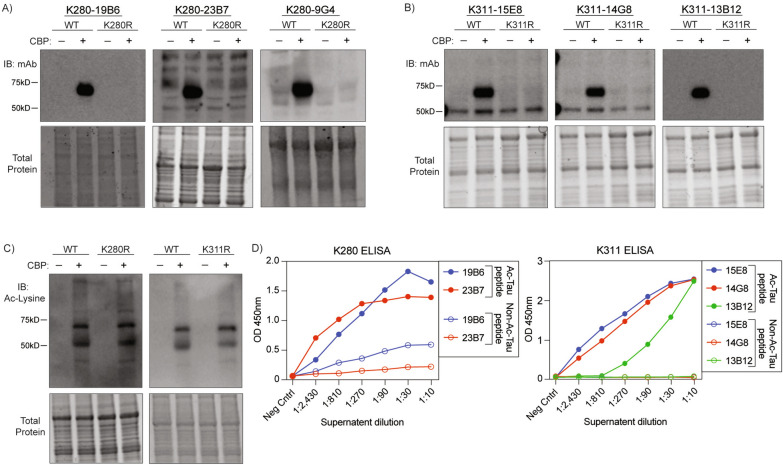 Fig. 1