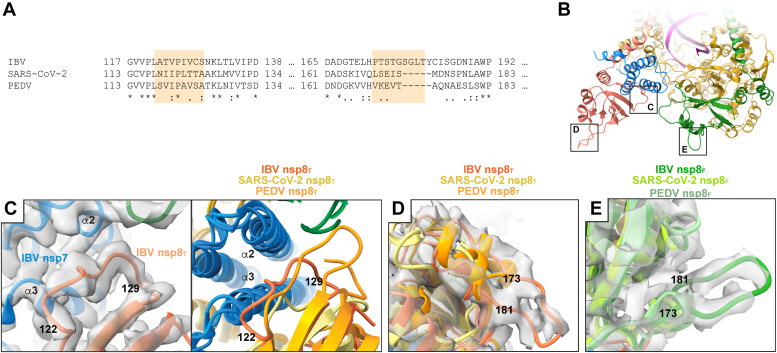 Figure 2