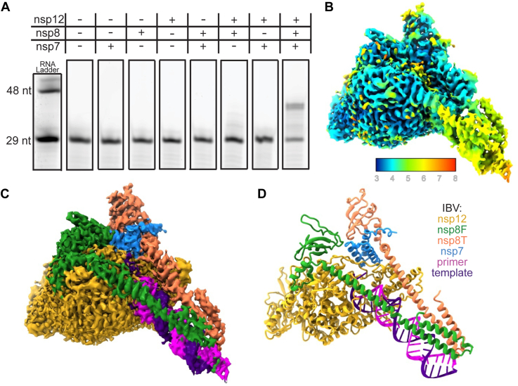 Figure 1