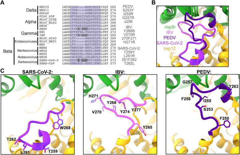 Figure 4