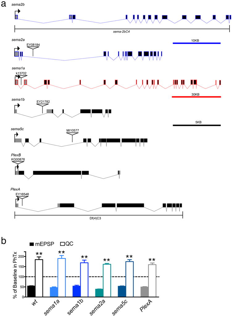 Extended Data Figure 1