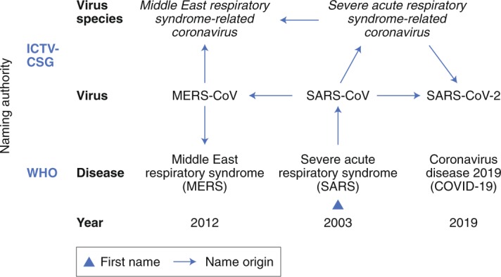 History of coronavirus naming during the three zoonotic outbreaks in relation to virus taxonomy and diseases caused by these viruses.