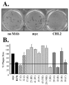 FIG. 8.