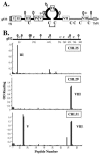 FIG. 5.