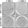 FIG. 9.