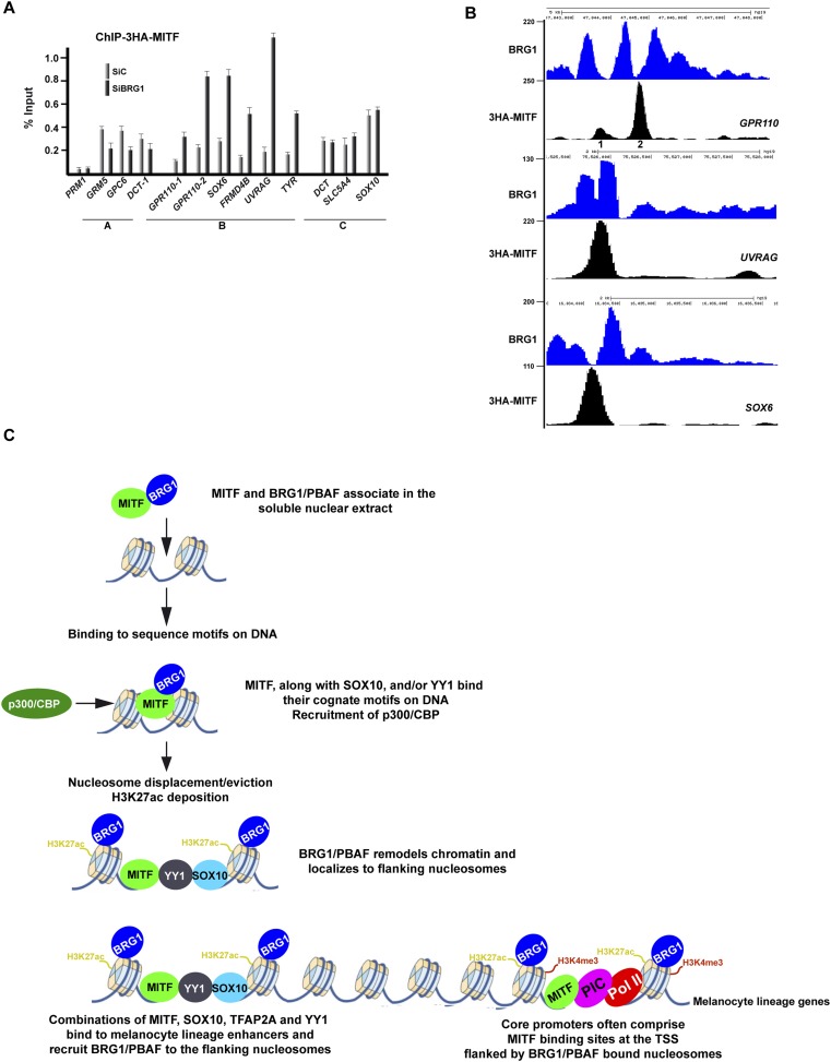 Figure 9.