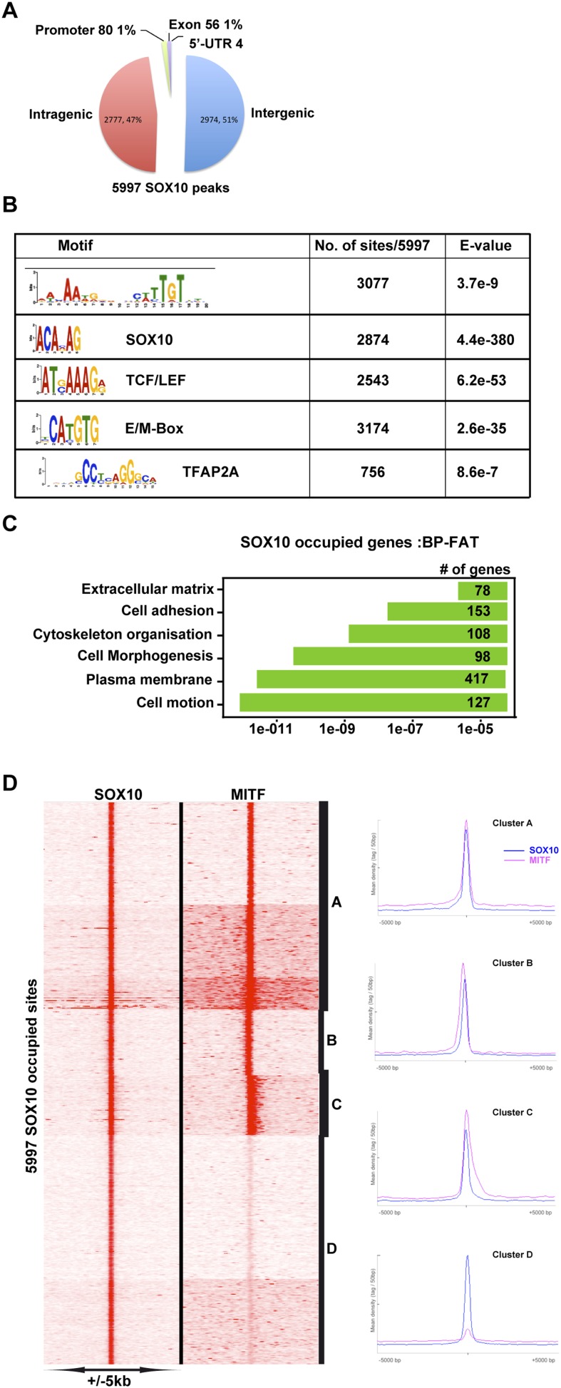 Figure 6—figure supplement 2.