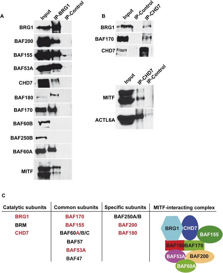 Figure 2.