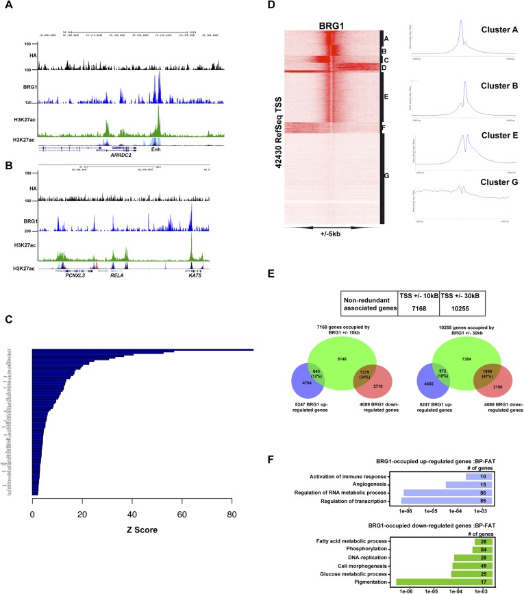 Figure 5—figure supplement 1.