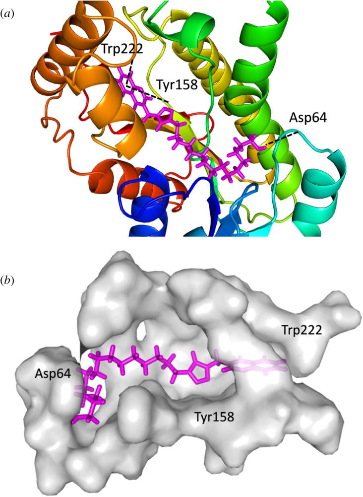 Figure 3.