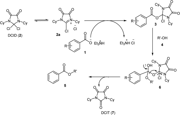 Scheme 2