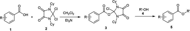 Scheme 1