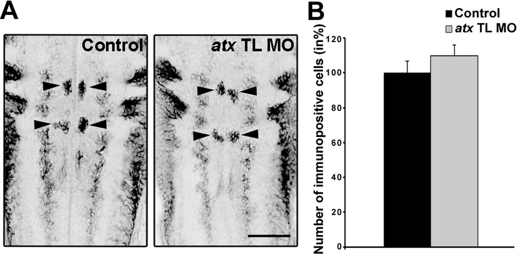 Fig. 9