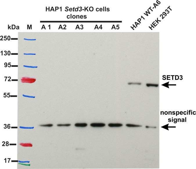 Figure 11.