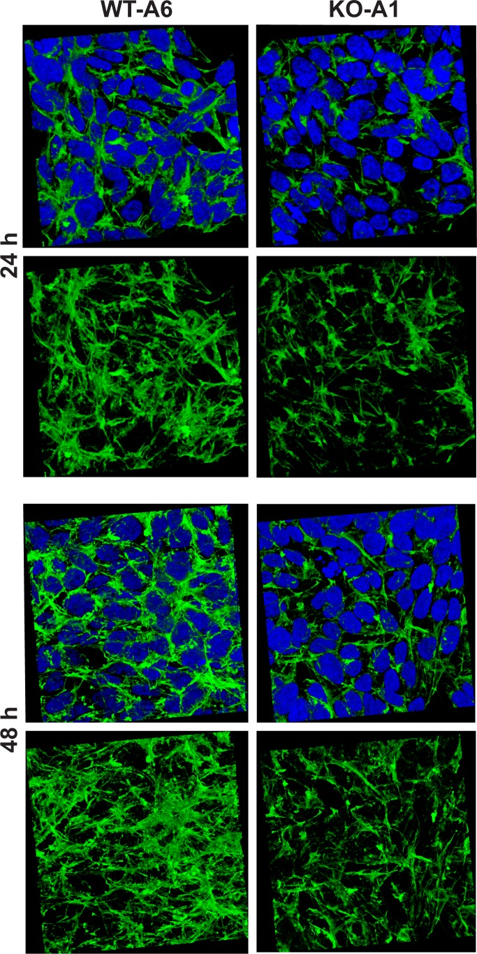 Figure 13.