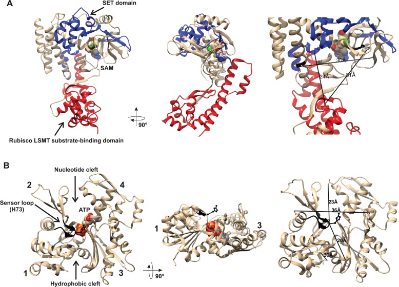 Figure 4.