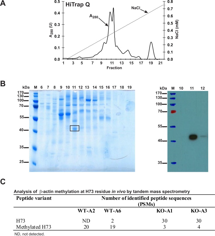 Figure 12.