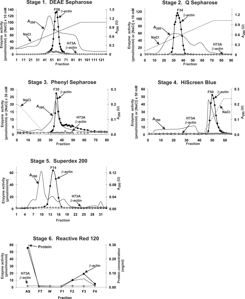 Figure 1—figure supplement 3.