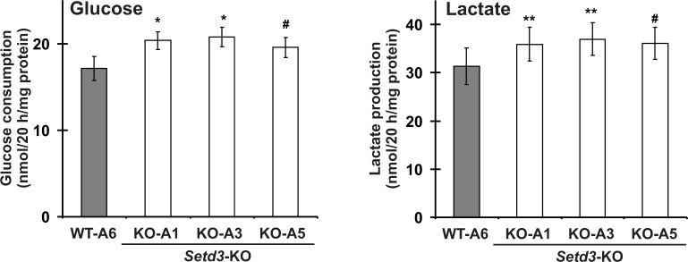 Figure 15.