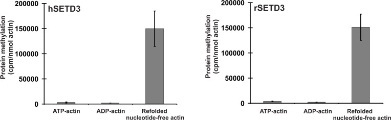 Figure 10.