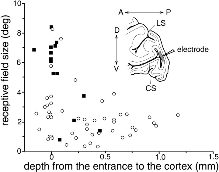 Fig. 10.