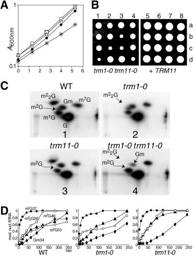 FIG. 5.