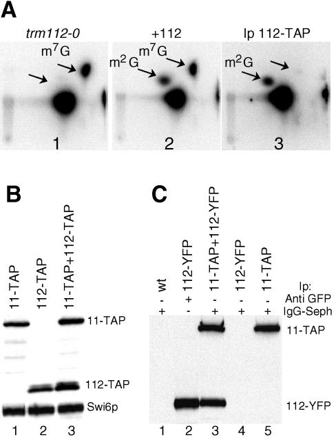 FIG. 4.