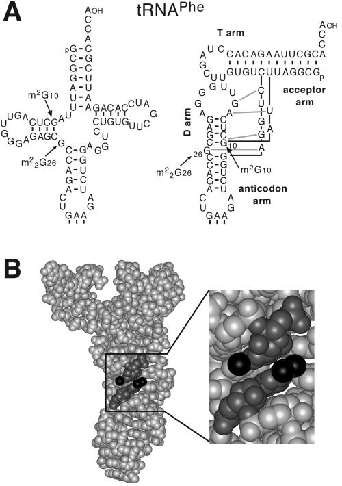 FIG. 6.