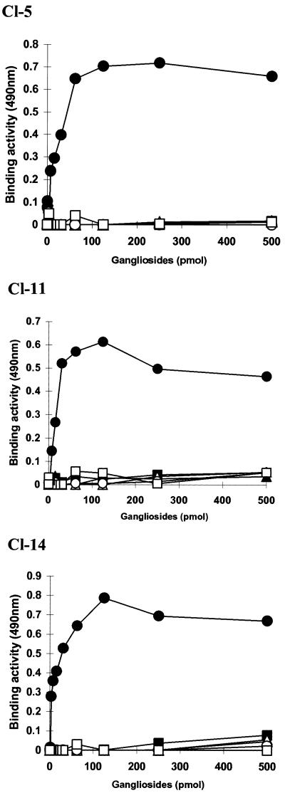 FIG. 7