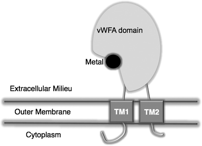 Fig 7