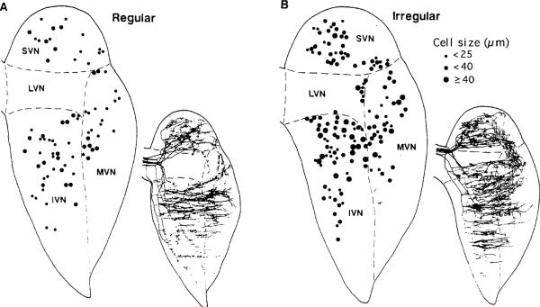 Fig. 8A, B