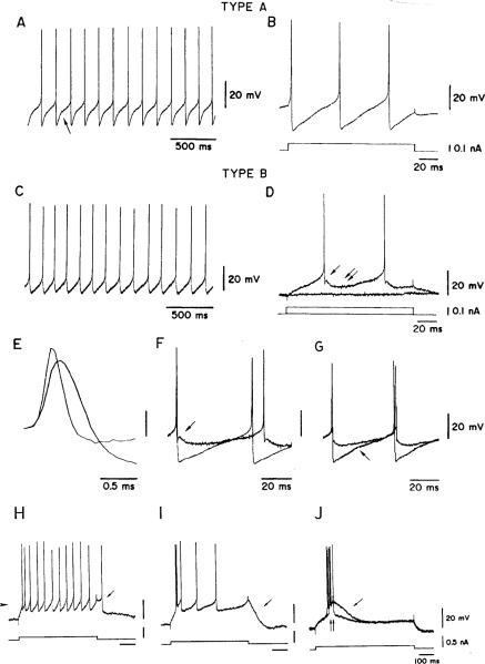 Fig. 10A–J