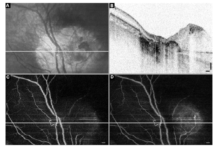 Fig. 9