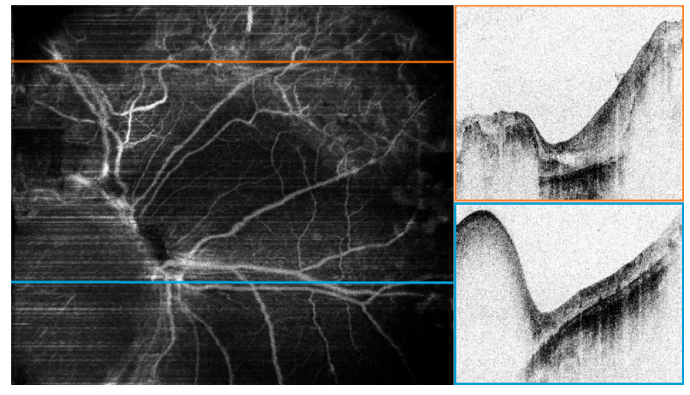 Fig. 6