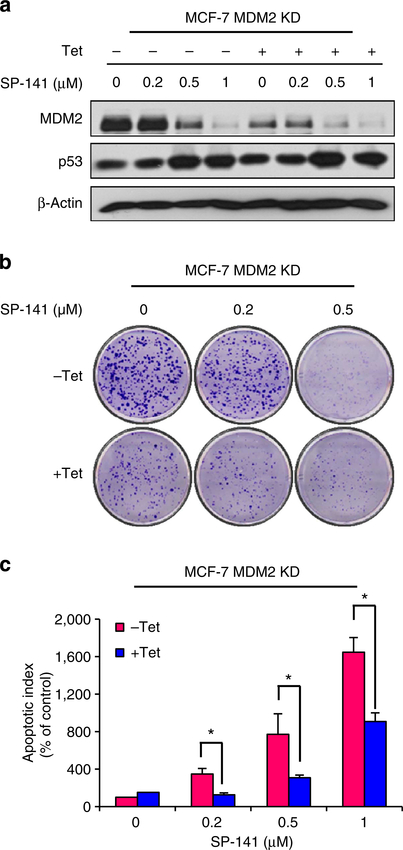 Figure 6 |