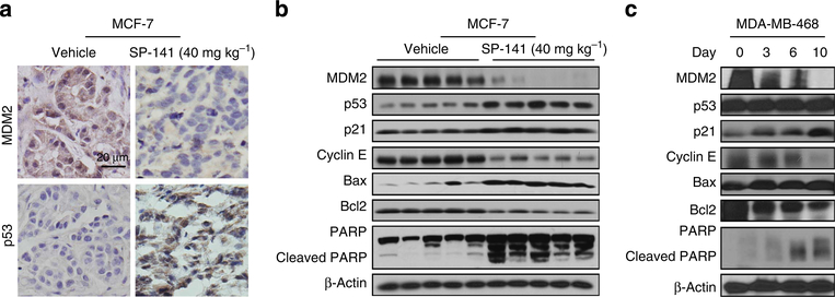 Figure 4 |