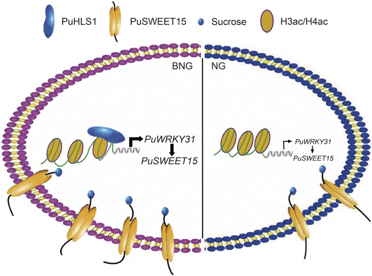 Figure 7.