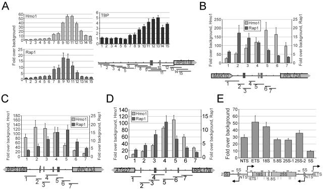 FIG. 3.