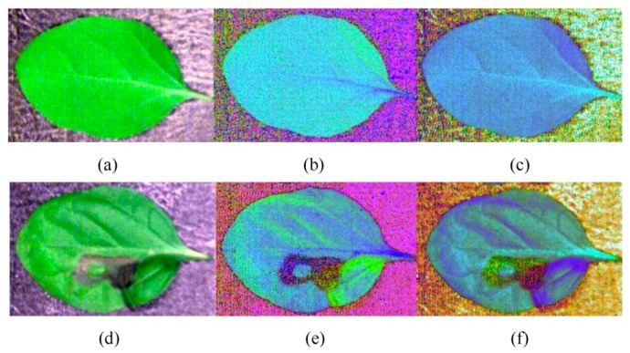 Figure 7