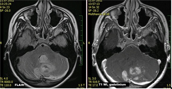 Fig. 7