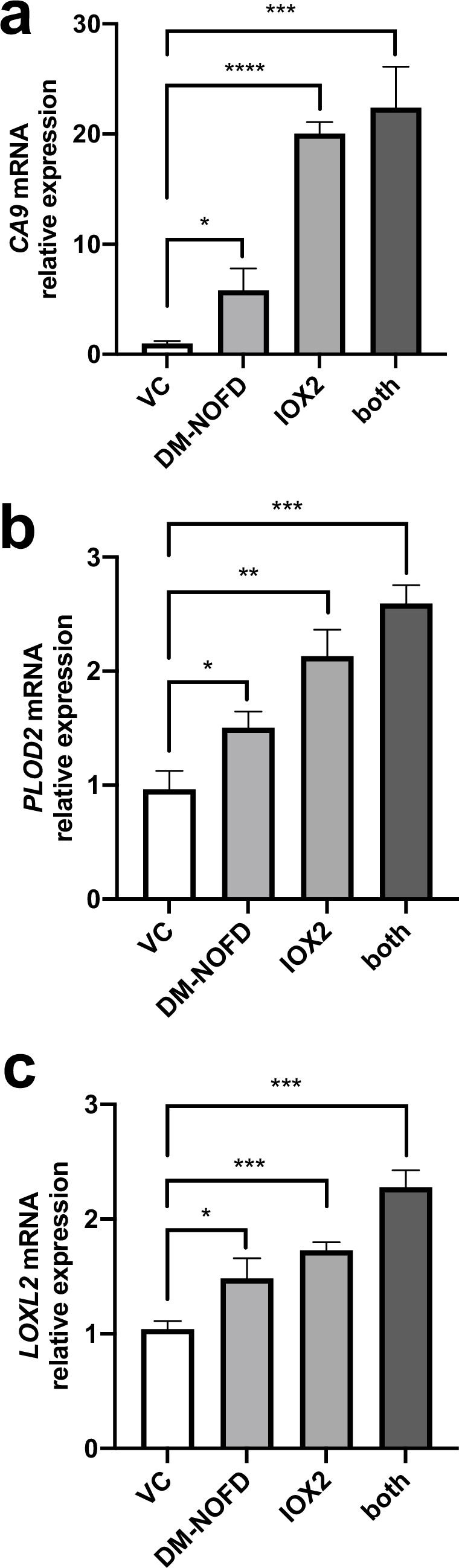 Figure 6—figure supplement 1.