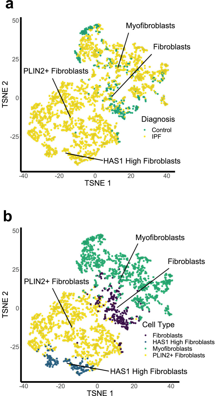 Figure 8—figure supplement 1.