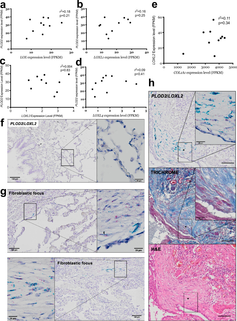 Figure 1—figure supplement 1.