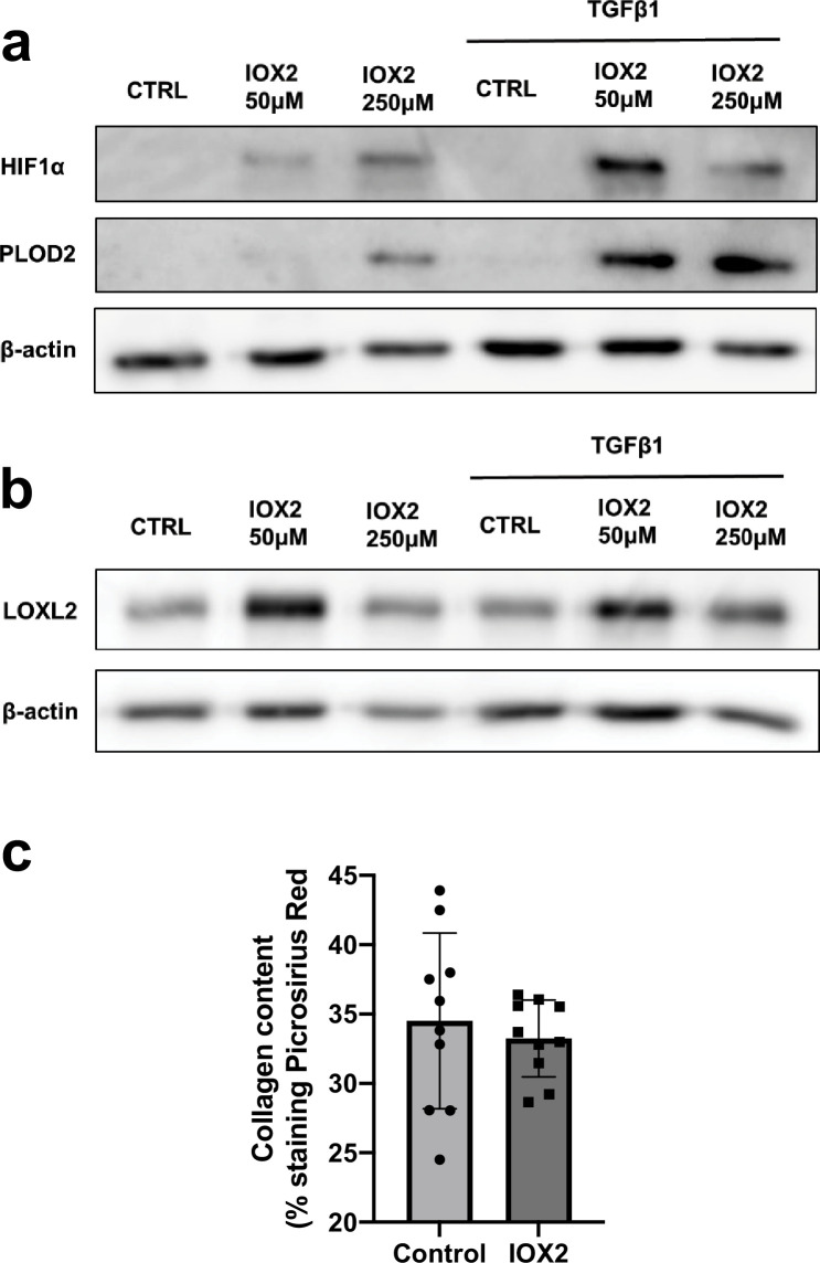 Figure 5—figure supplement 1.