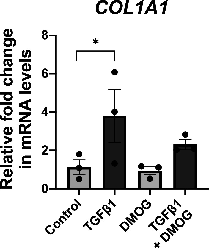 Figure 4—figure supplement 2.