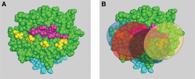 FIGURE 1.