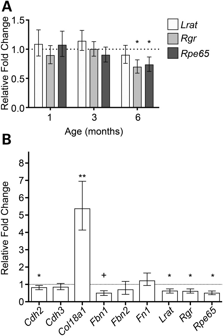 Figure 7.